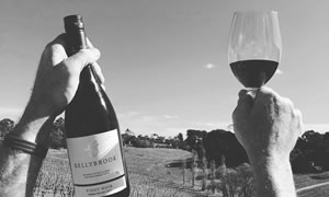 Cup Day Wine from Kellybrook Winery