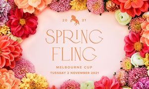 Melbourne Cup Day at Victoria Park